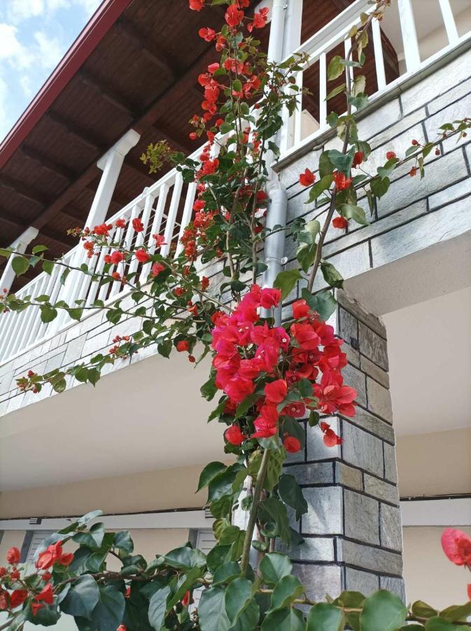 Bella Terra Nature Living Asprovalta Bagian luar foto